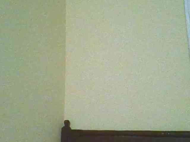 Sam9338 webcam