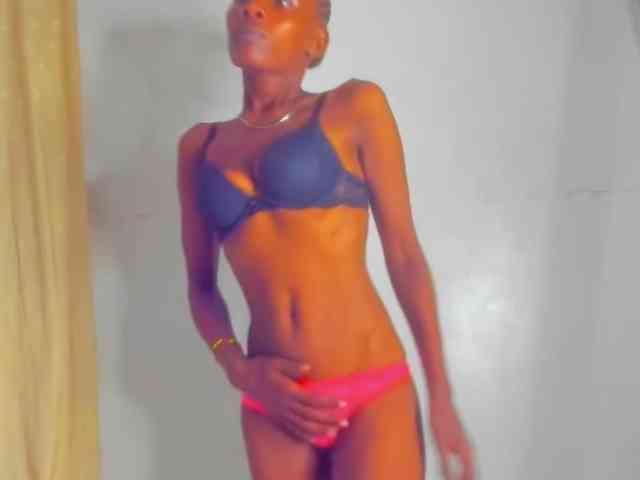 Sam9338 webcam