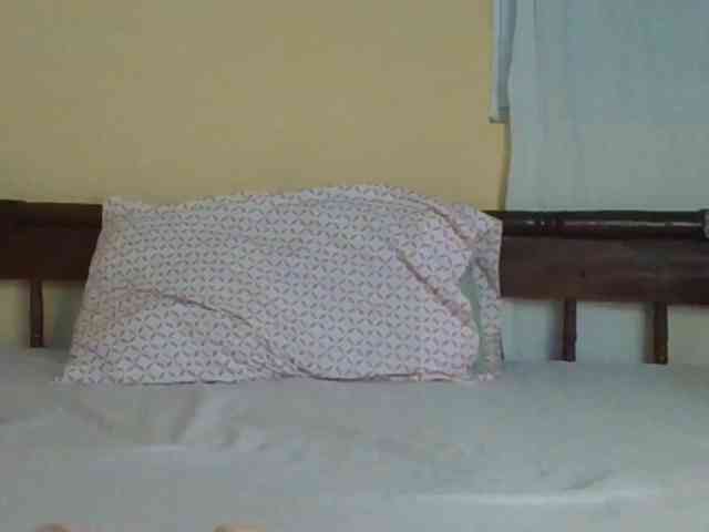 Sam9338 webcam