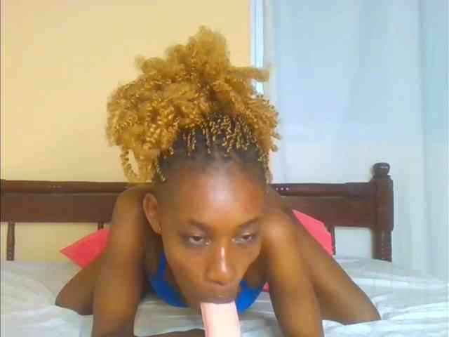 Sam9338 webcam