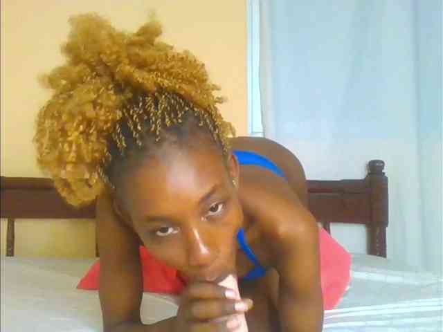 Sam9338 webcam