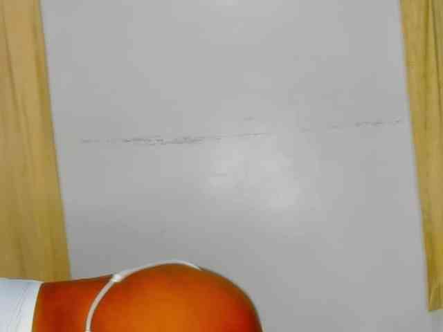 Sam9338 webcam