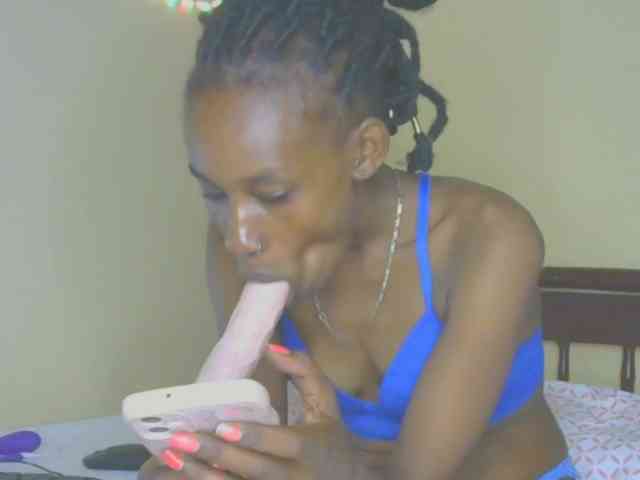 Sam9338 webcam