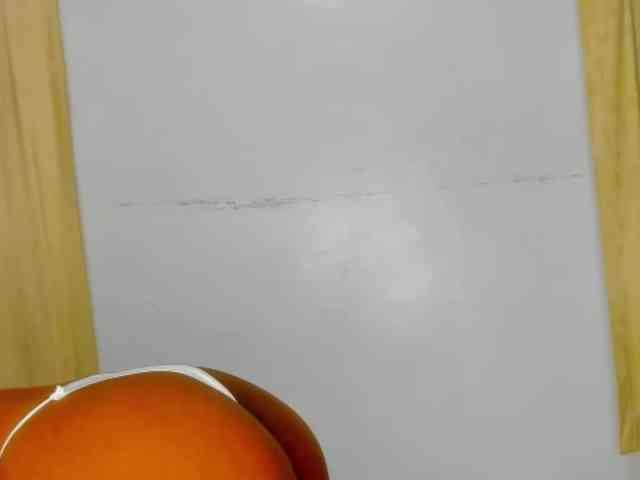 Sam9338 webcam