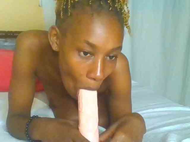 Sam9338 webcam