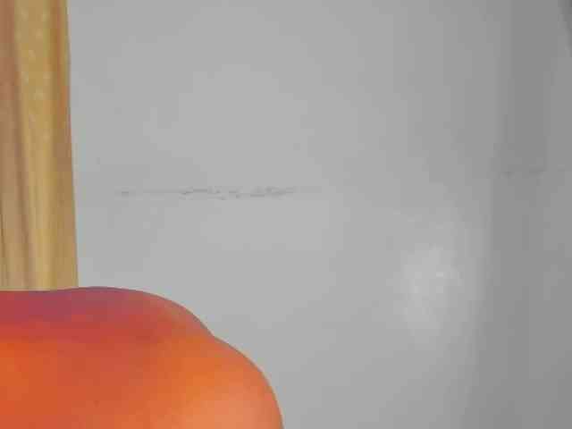 Sam9338 webcam