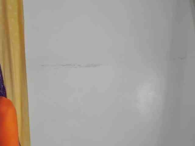 Sam9338 webcam