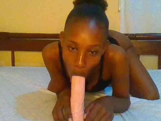 Sam9338 webcam