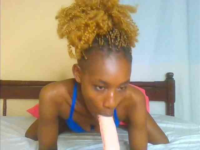 Sam9338 webcam