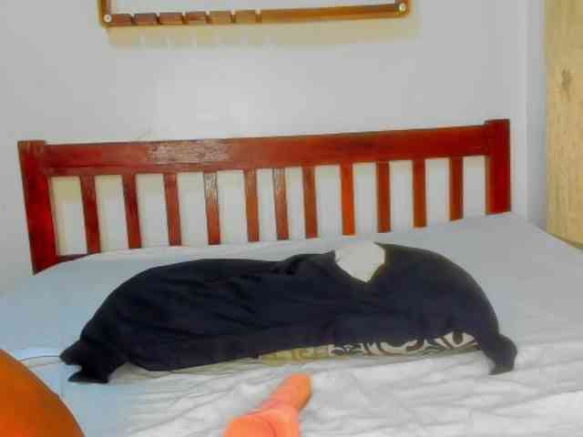 Sam9338 webcam