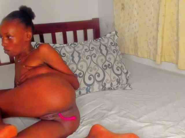 Sam9338 webcam