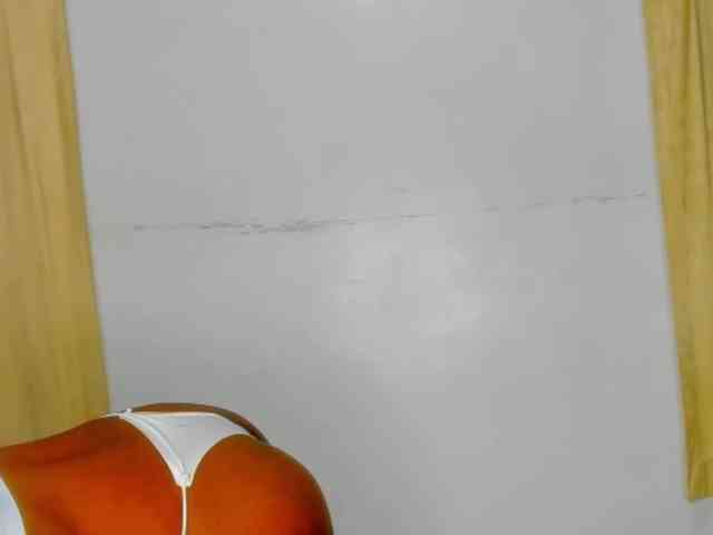 Sam9338 webcam