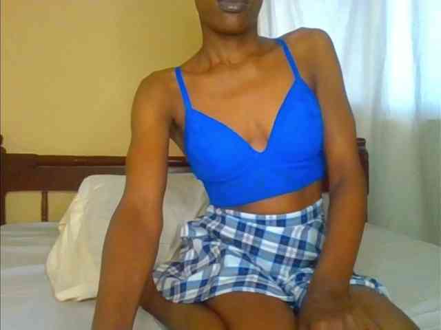 Sam9338 webcam
