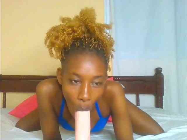 Sam9338 webcam