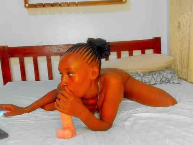Sam9338 webcam