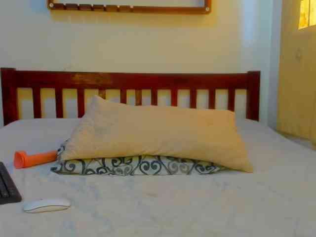 Sam9338 webcam