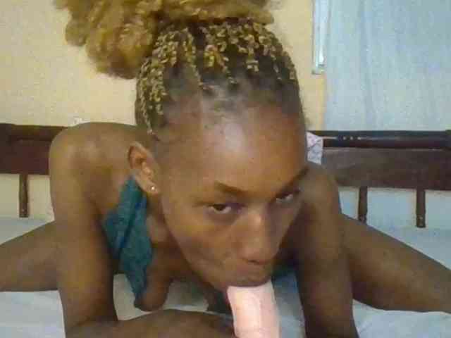 Sam9338 webcam