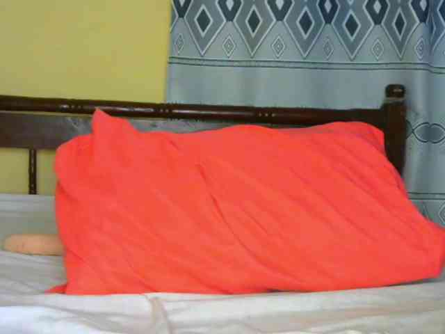 Sam9338 webcam