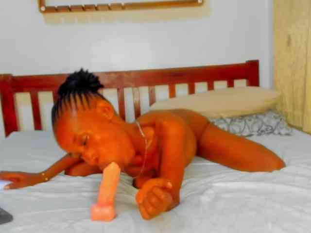 Sam9338 webcam