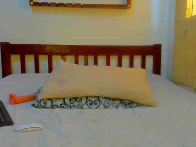 Sam9338 webcam