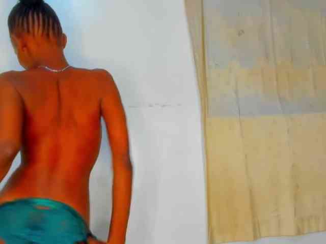 Sam9338 webcam