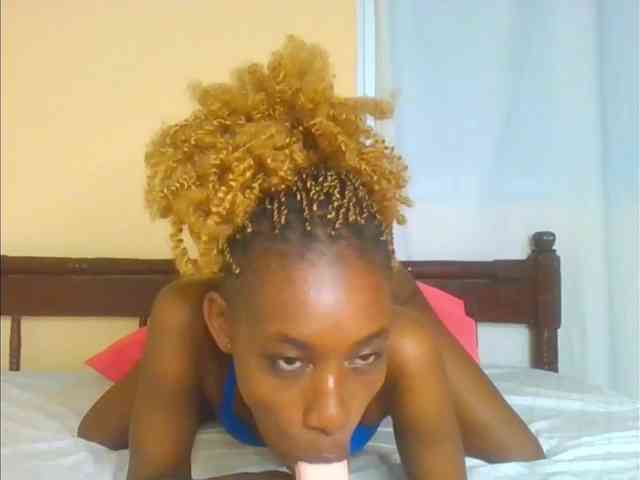 Sam9338 webcam