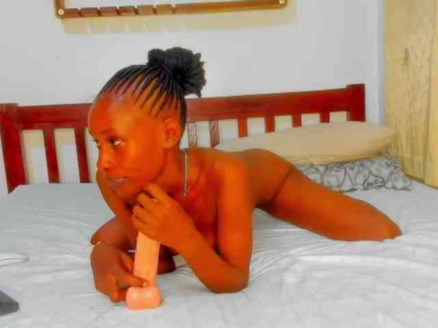 Sam9338 webcam