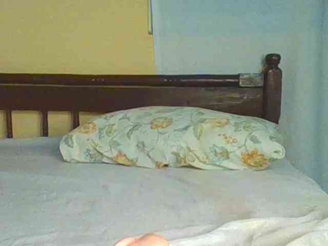 Sam9338 webcam