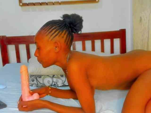 Sam9338 webcam