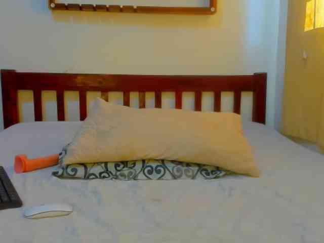 Sam9338 webcam