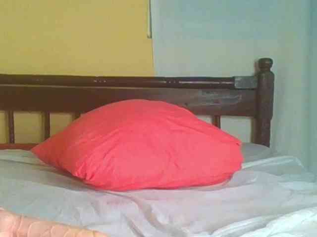 Sam9338 webcam