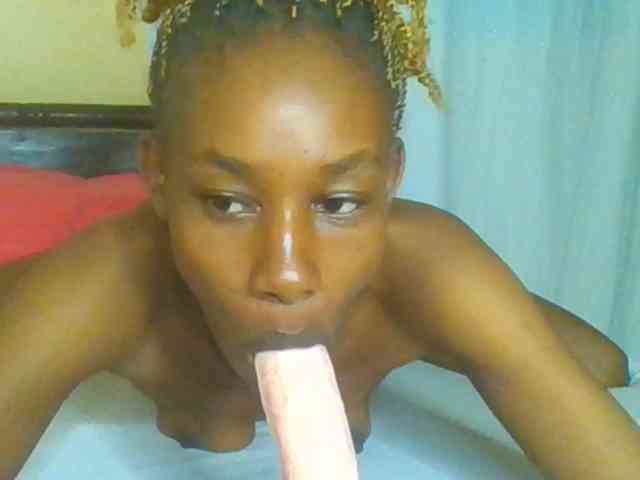 Sam9338 webcam
