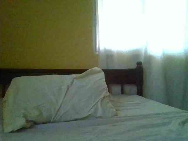 Sam9338 webcam