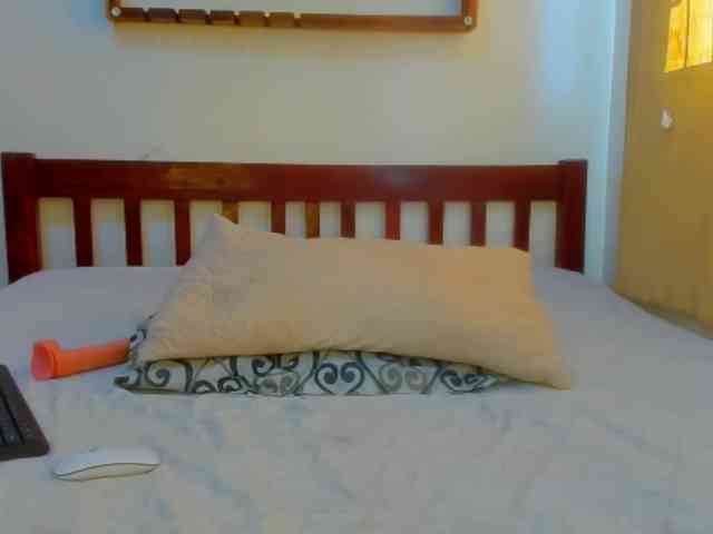 Sam9338 webcam