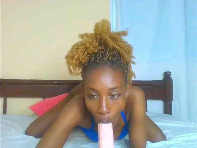 Sam9338 webcam