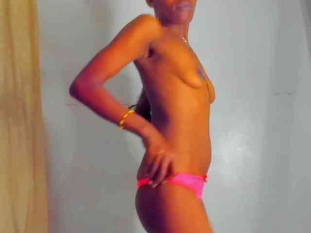 Sam9338 webcam