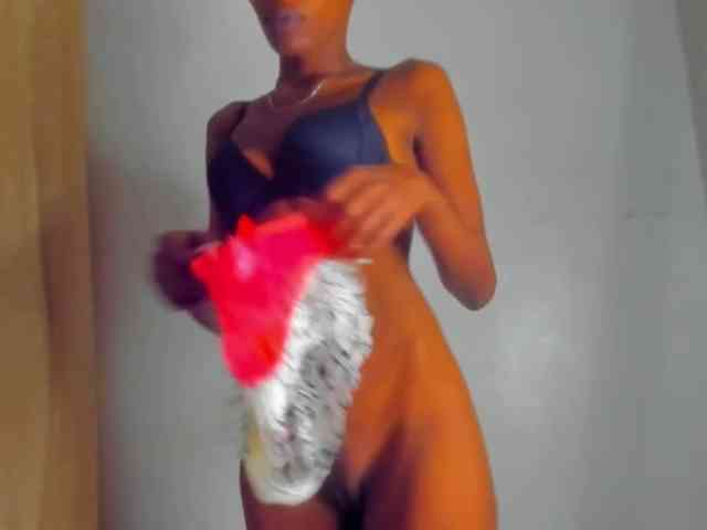 Sam9338 webcam