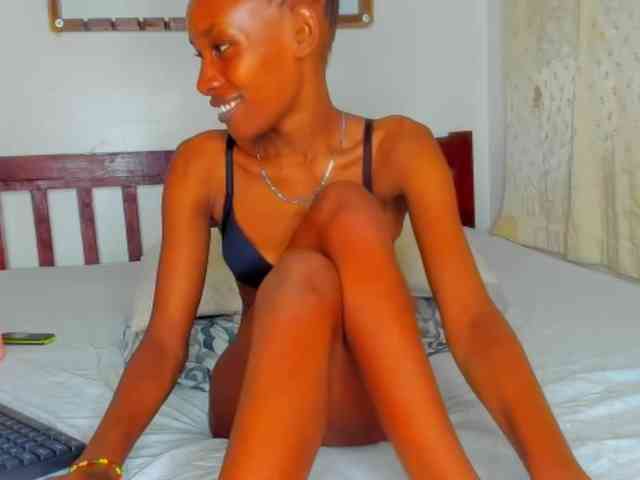Sam9338 webcam