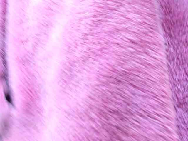 daddysgirlss webcam