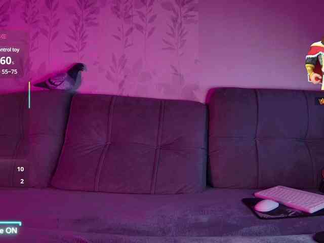 Li1Kitty webcam