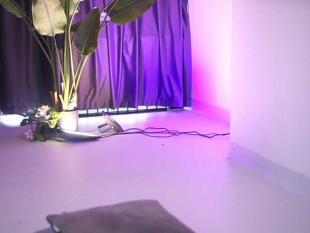  DolceTentacion chat room