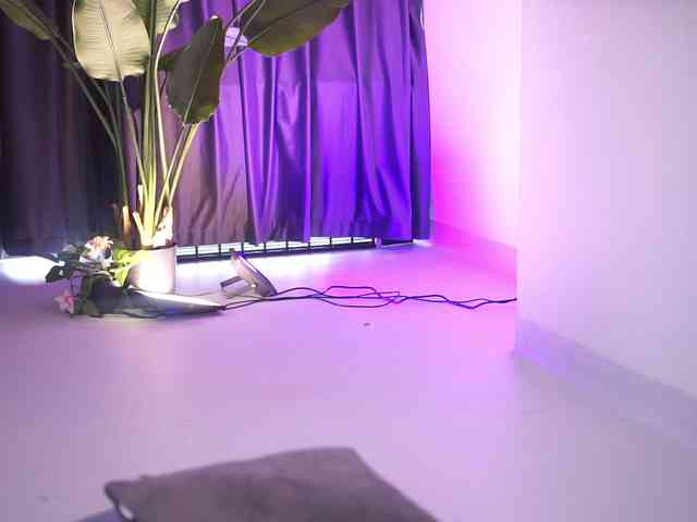 DolceTentacion webcam