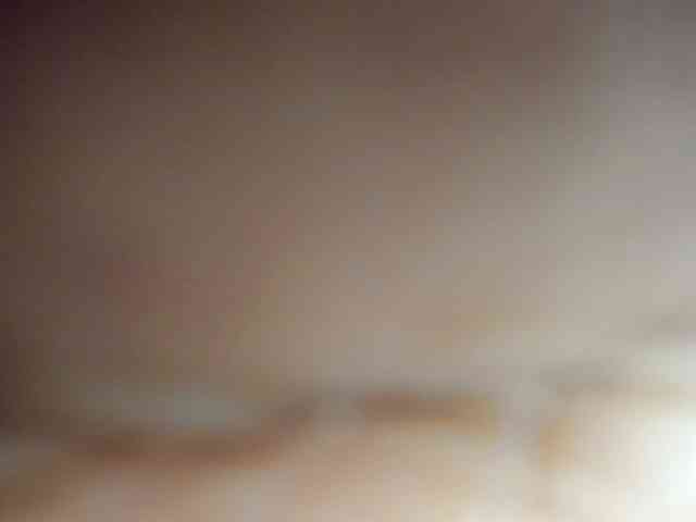 Nylaa webcam