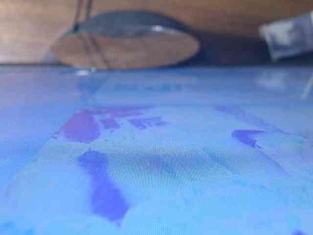 Enchantressxxshaira webcam