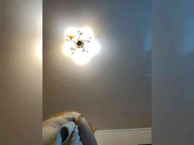 Lesik3500 webcam