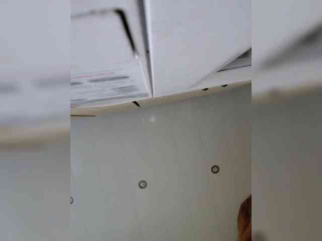 Lesik3500 webcam