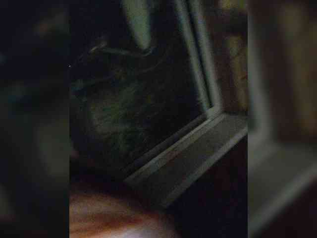 Lesik3500 webcam