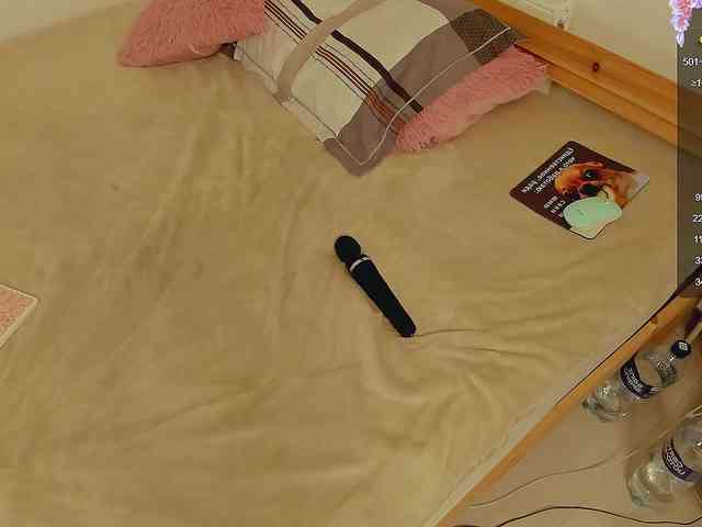 AlisaSweety webcam