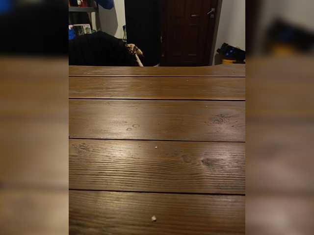 eluk on BongaCams 
