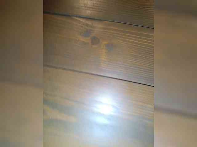 eluk webcam